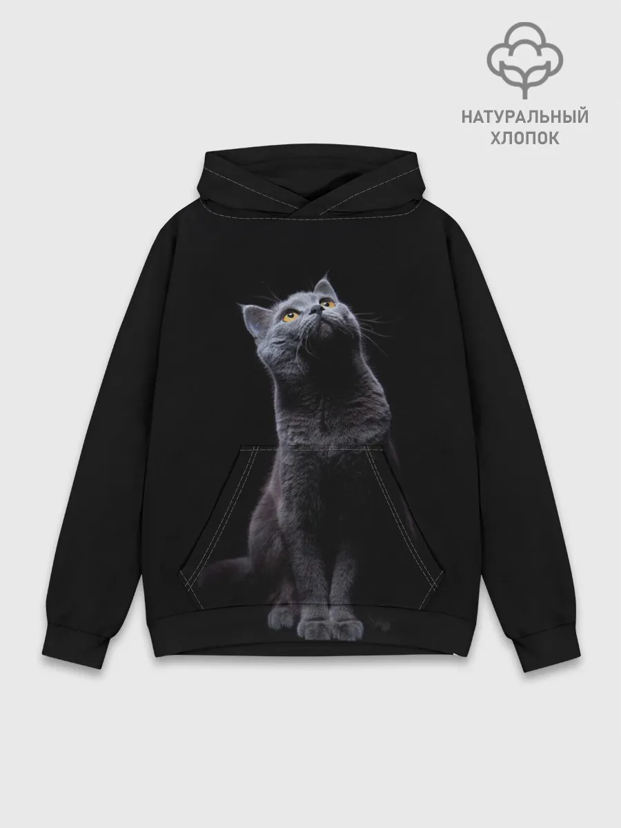 Худи мужской база хлопок / Кот Британец