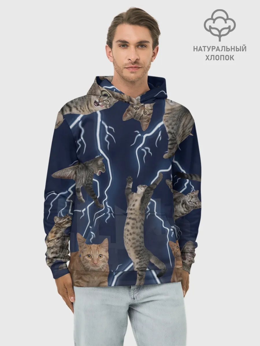 Худи мужской база хлопок / Коты