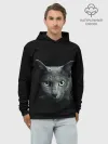 Худи мужской база хлопок / Кот