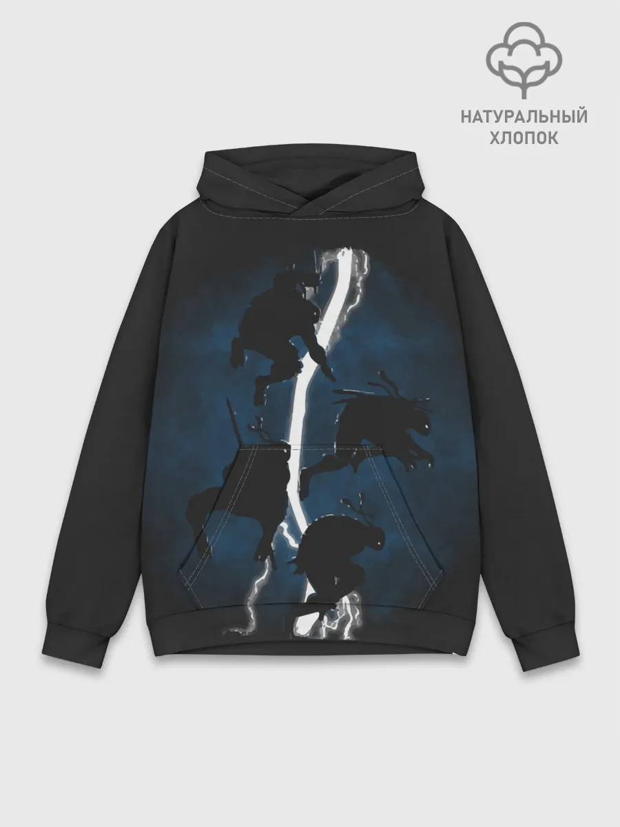 Худи мужской база хлопок / Черепашки ниндзя