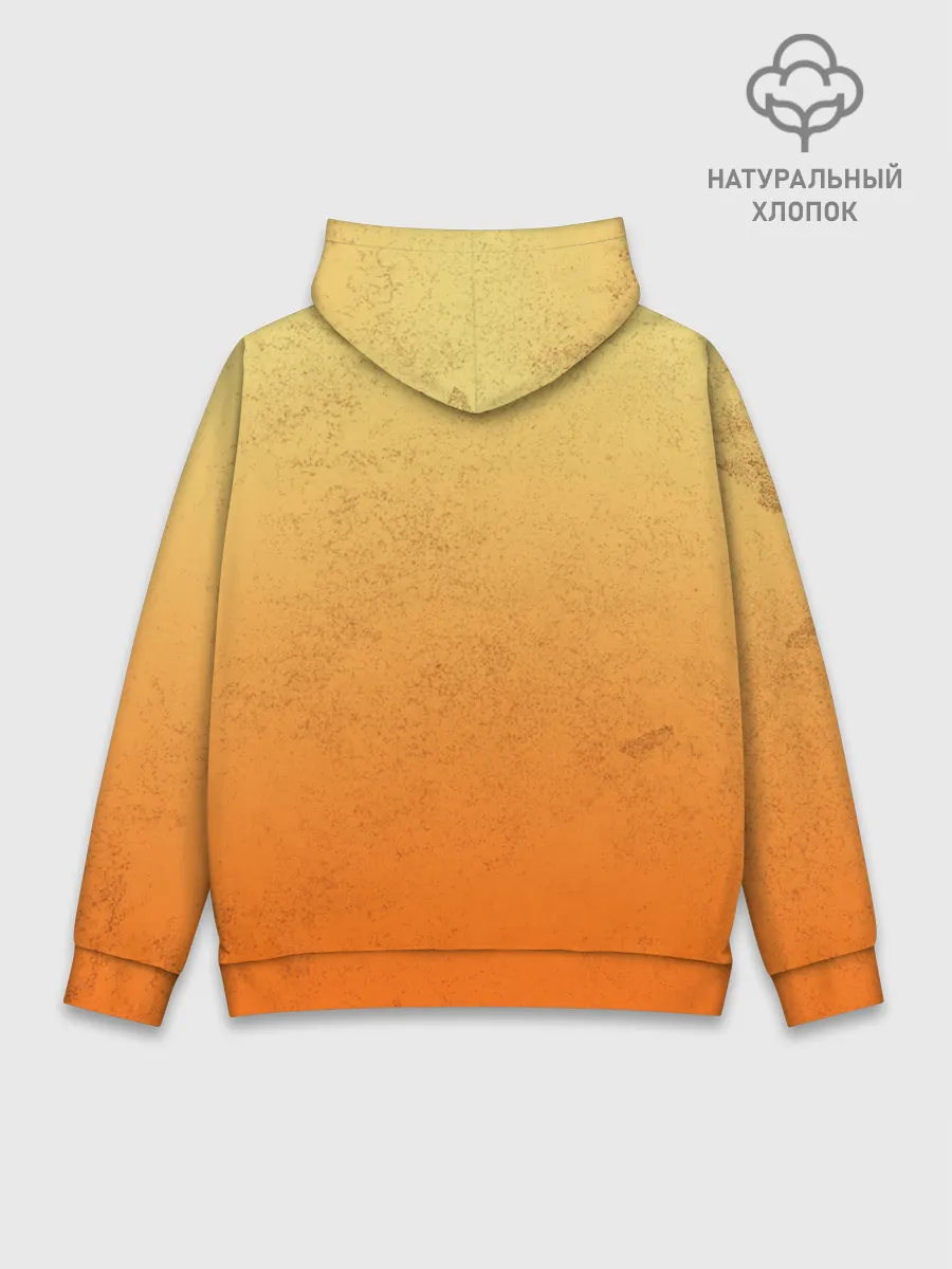 Худи мужской база хлопок / The Big Bang Theory Guys