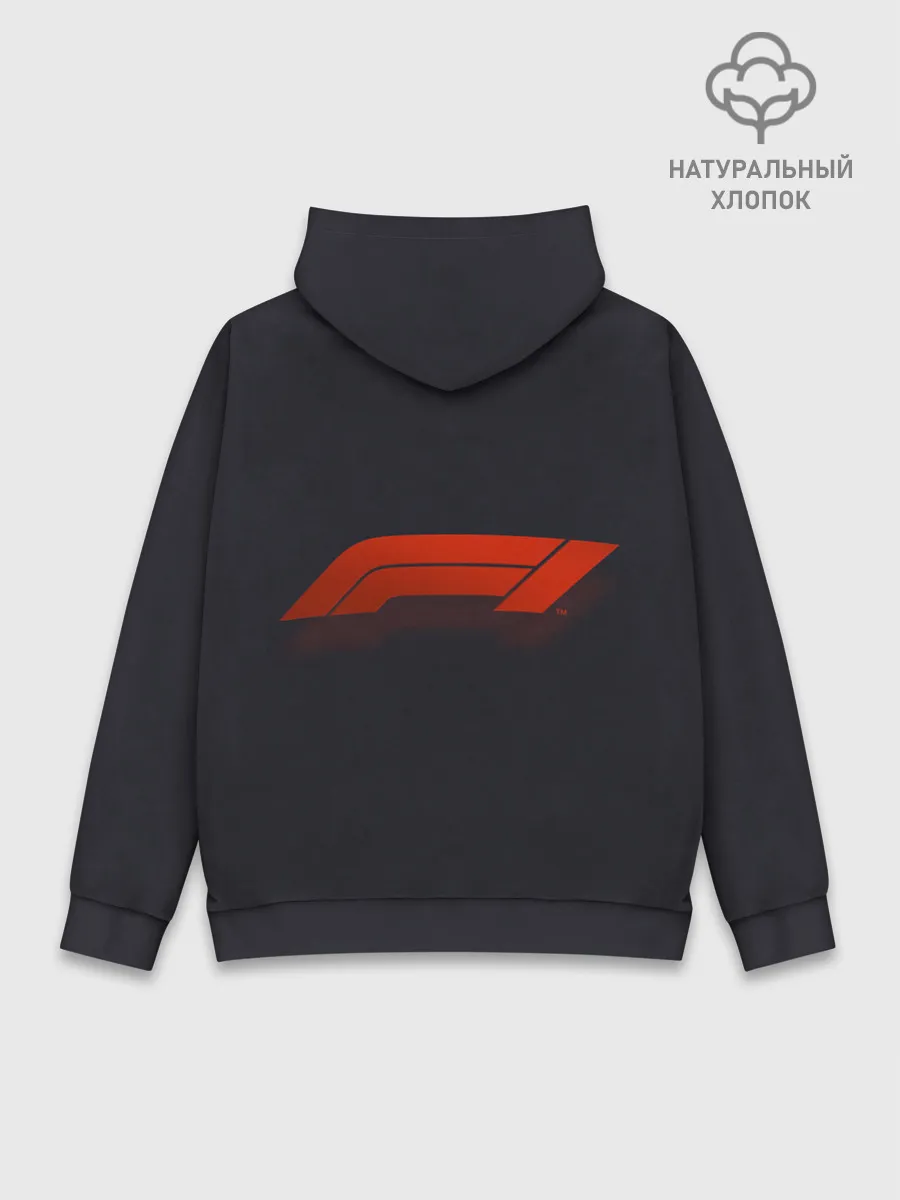 Худи мужской база хлопок / Formula 1