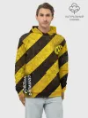 Худи мужской база хлопок / Borussia