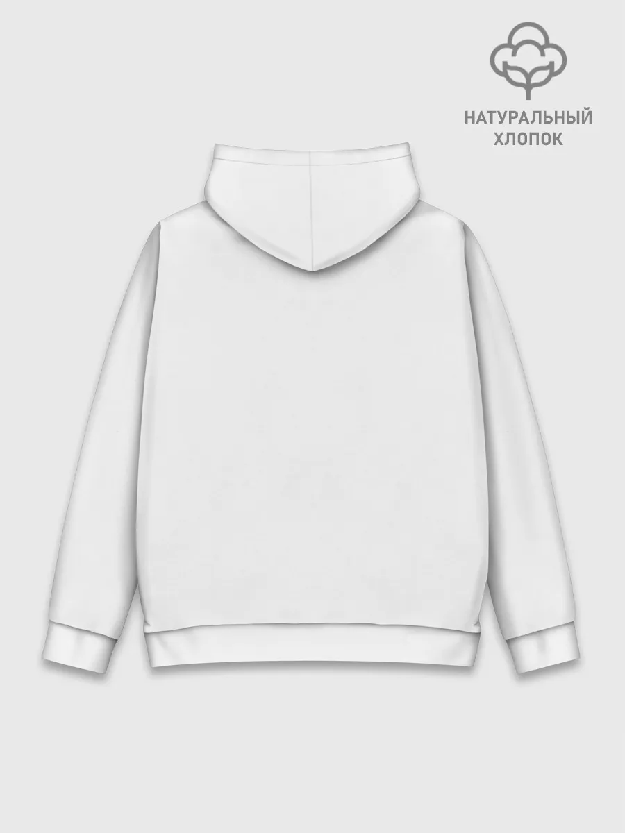 Худи мужской база хлопок / hibernation