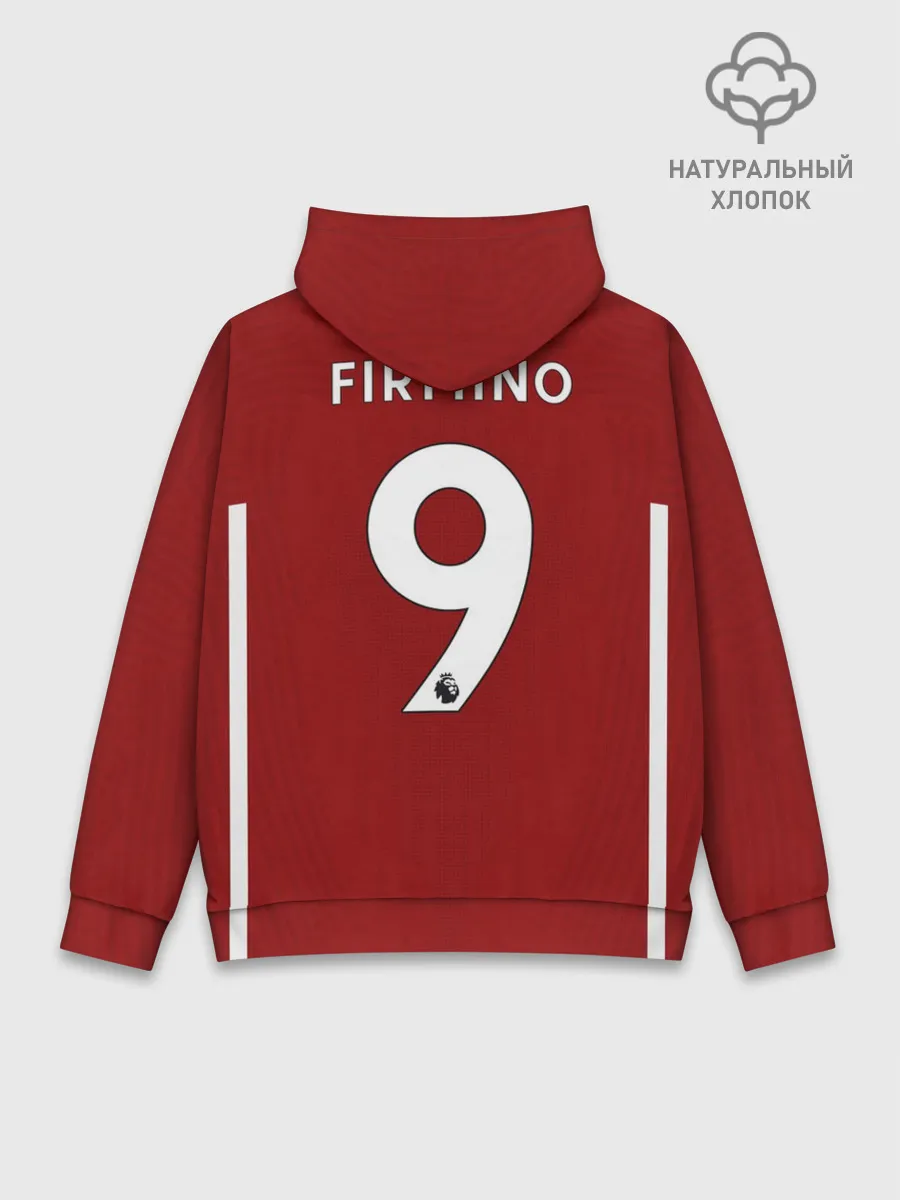 Худи мужской база хлопок / Firmino home 20-21