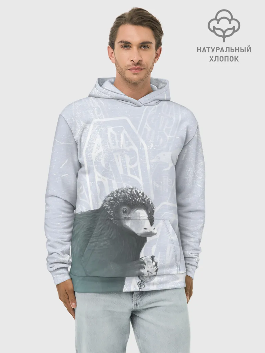 Худи мужской база хлопок / Niffler