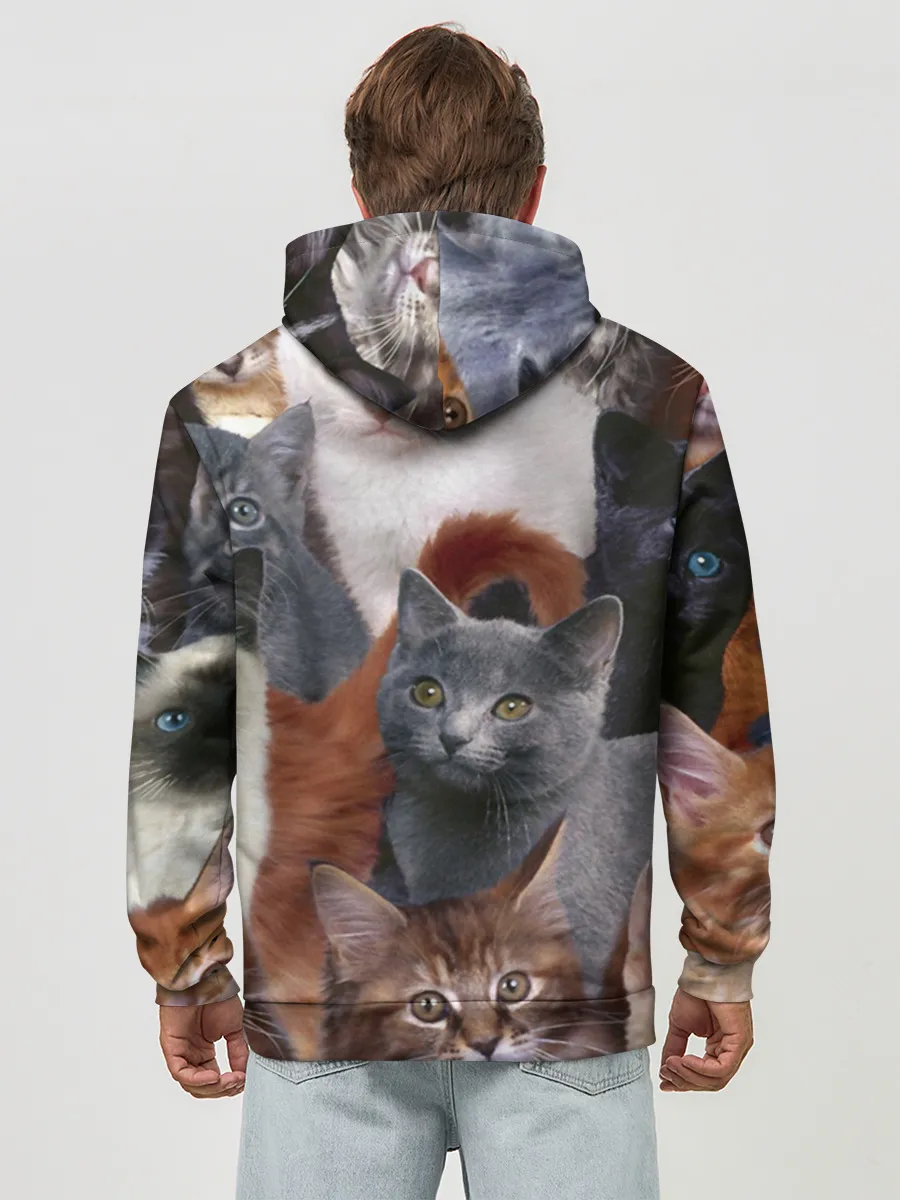 Худи мужской база хлопок / КОТЯТКИ