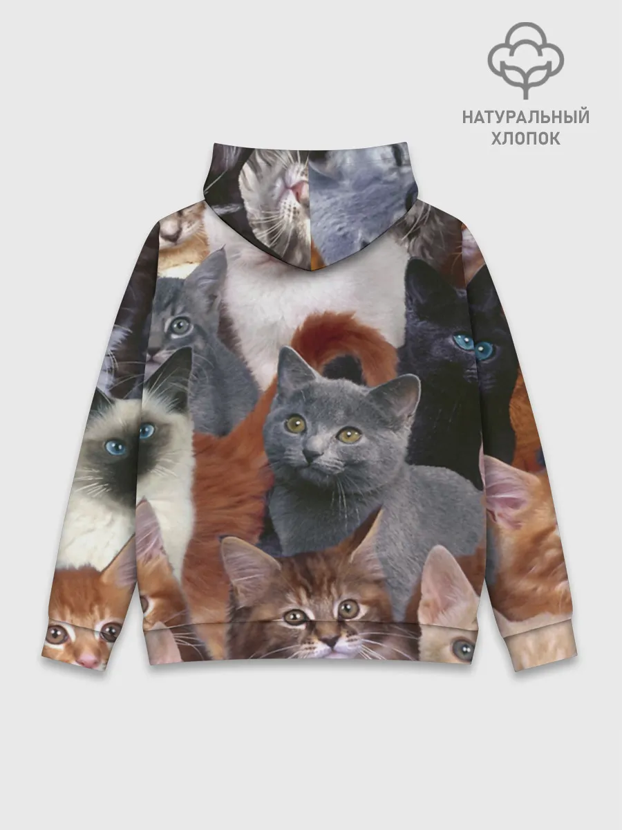 Худи мужской база хлопок / КОТЯТКИ