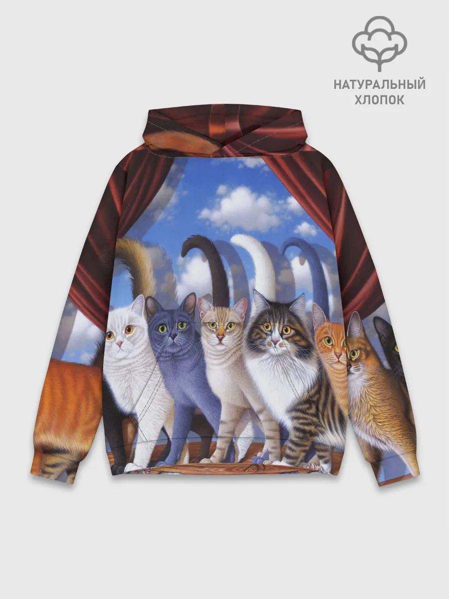 Худи мужской база хлопок / Коты