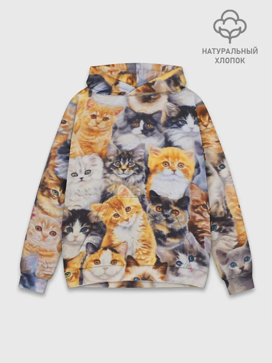 Худи мужской база хлопок / КОТЯТКИ