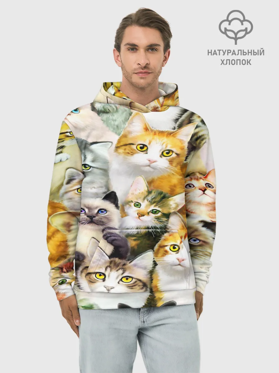 Худи мужской база хлопок / КОТЫ