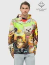 Худи мужской база хлопок / КОТЫ