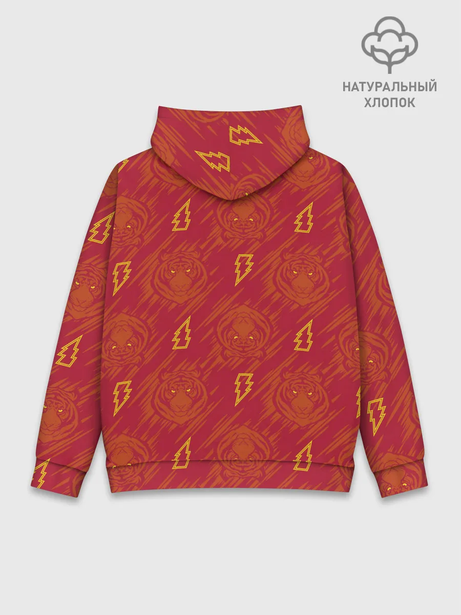 Худи мужской база хлопок / Шазам!