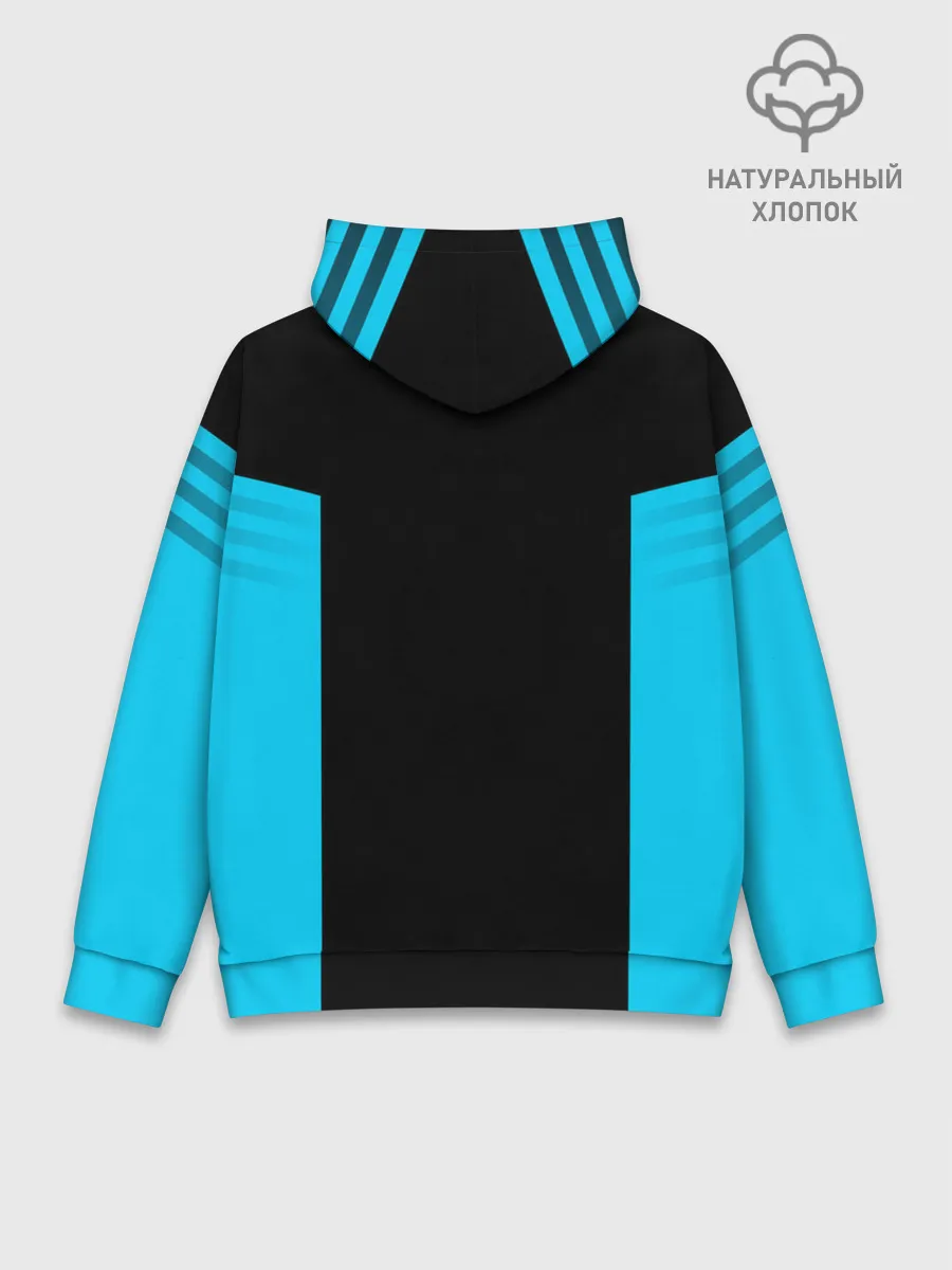 Худи мужской база хлопок / Russia