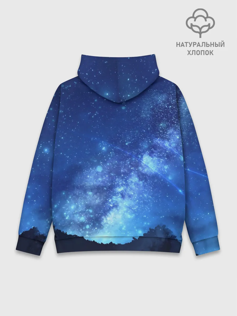 Худи мужской база хлопок / Rui-Rui