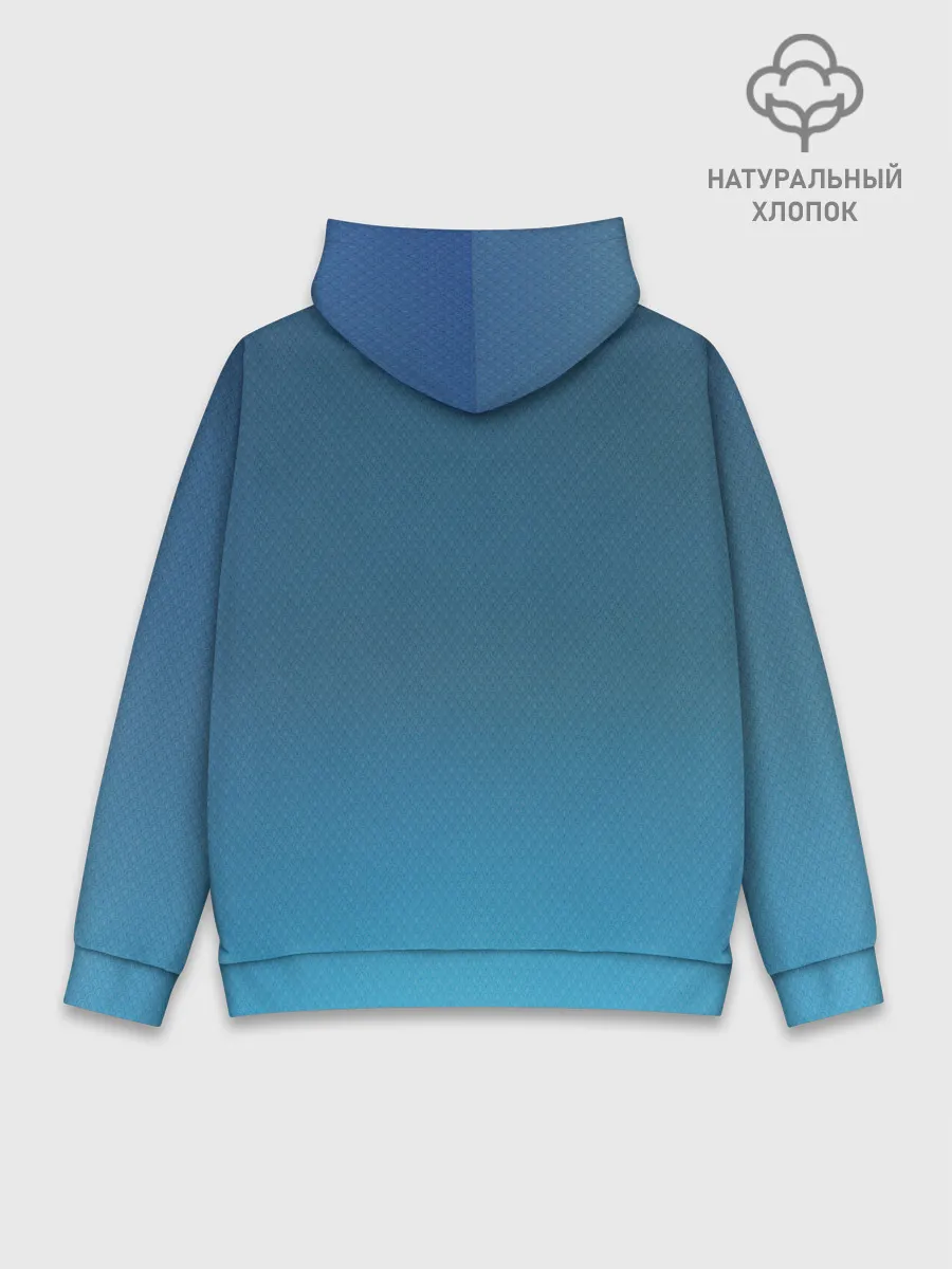 Худи мужской база хлопок / mini
