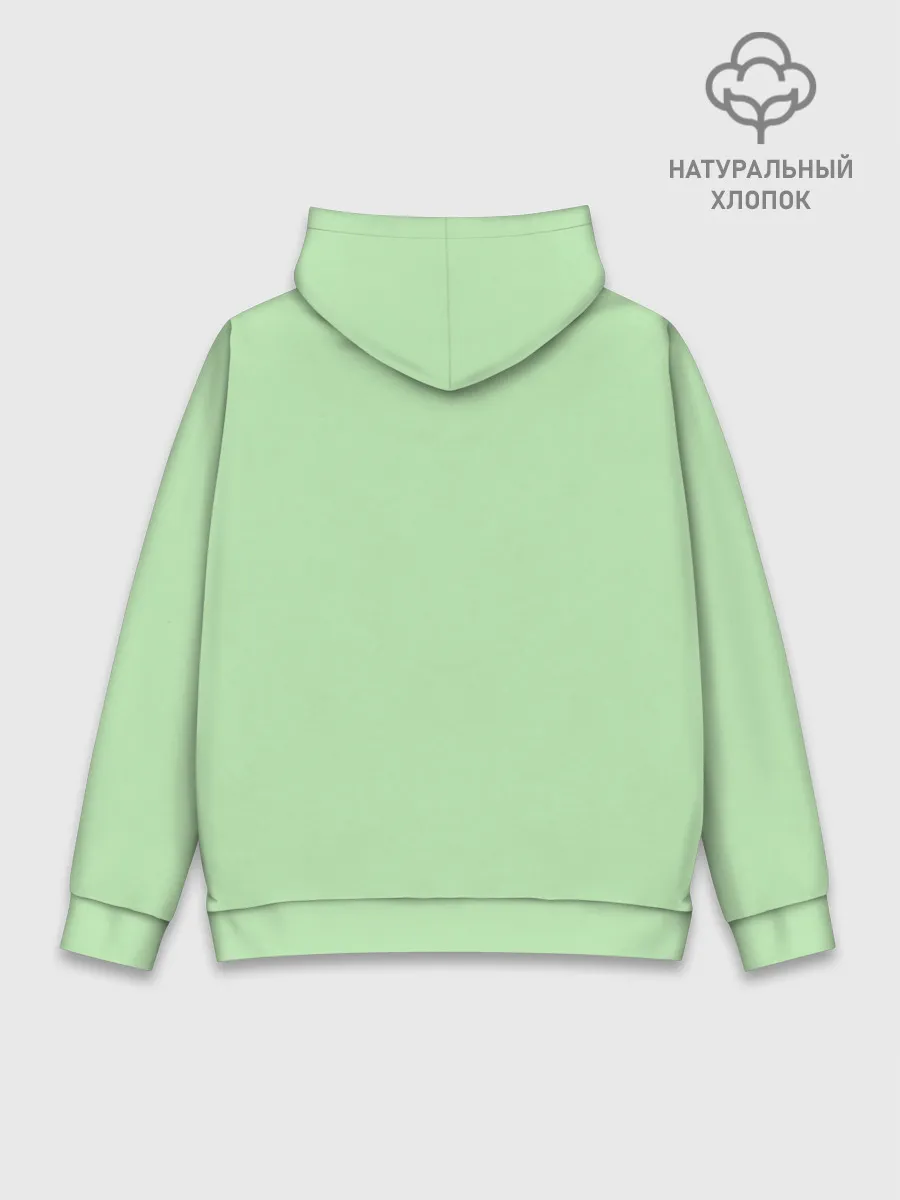 Худи мужской база хлопок / IndoR