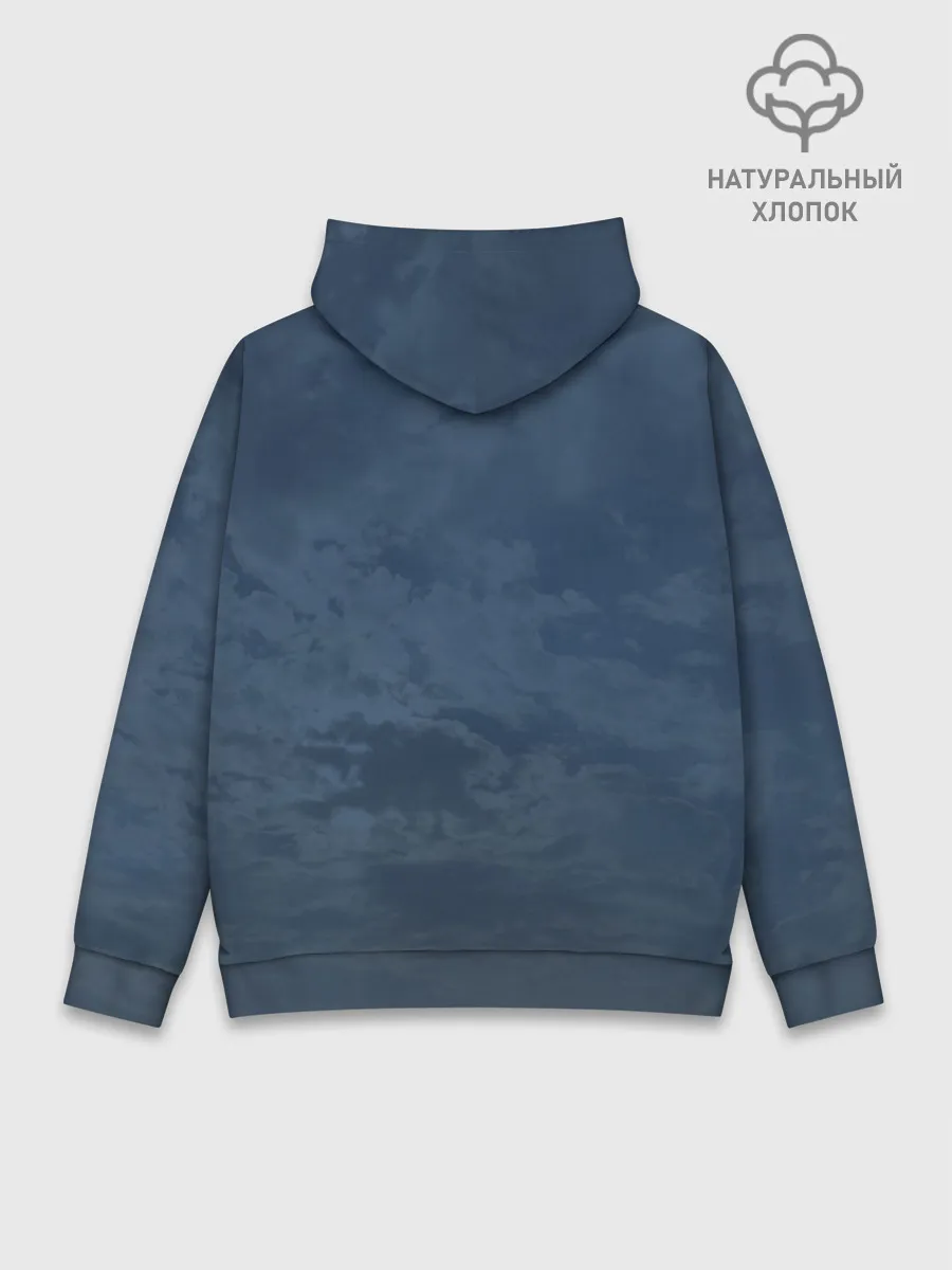 Худи мужской база хлопок / 2610535