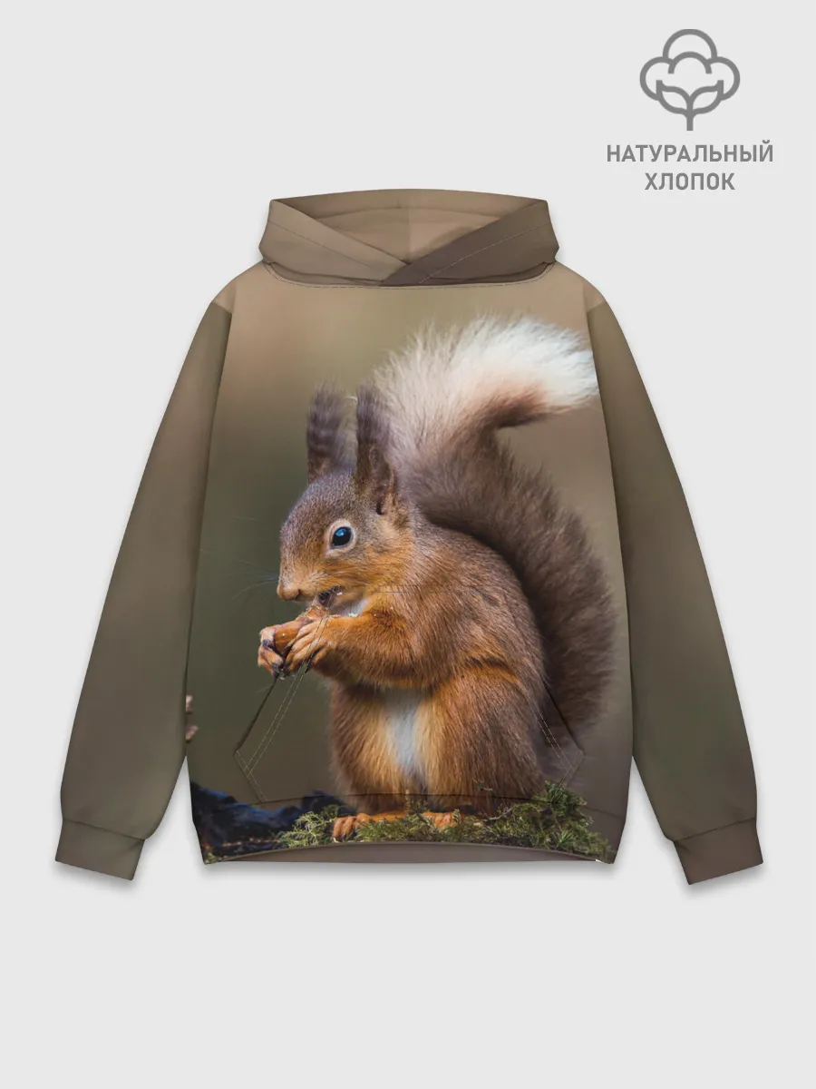 Худи мужской база хлопок / Белка