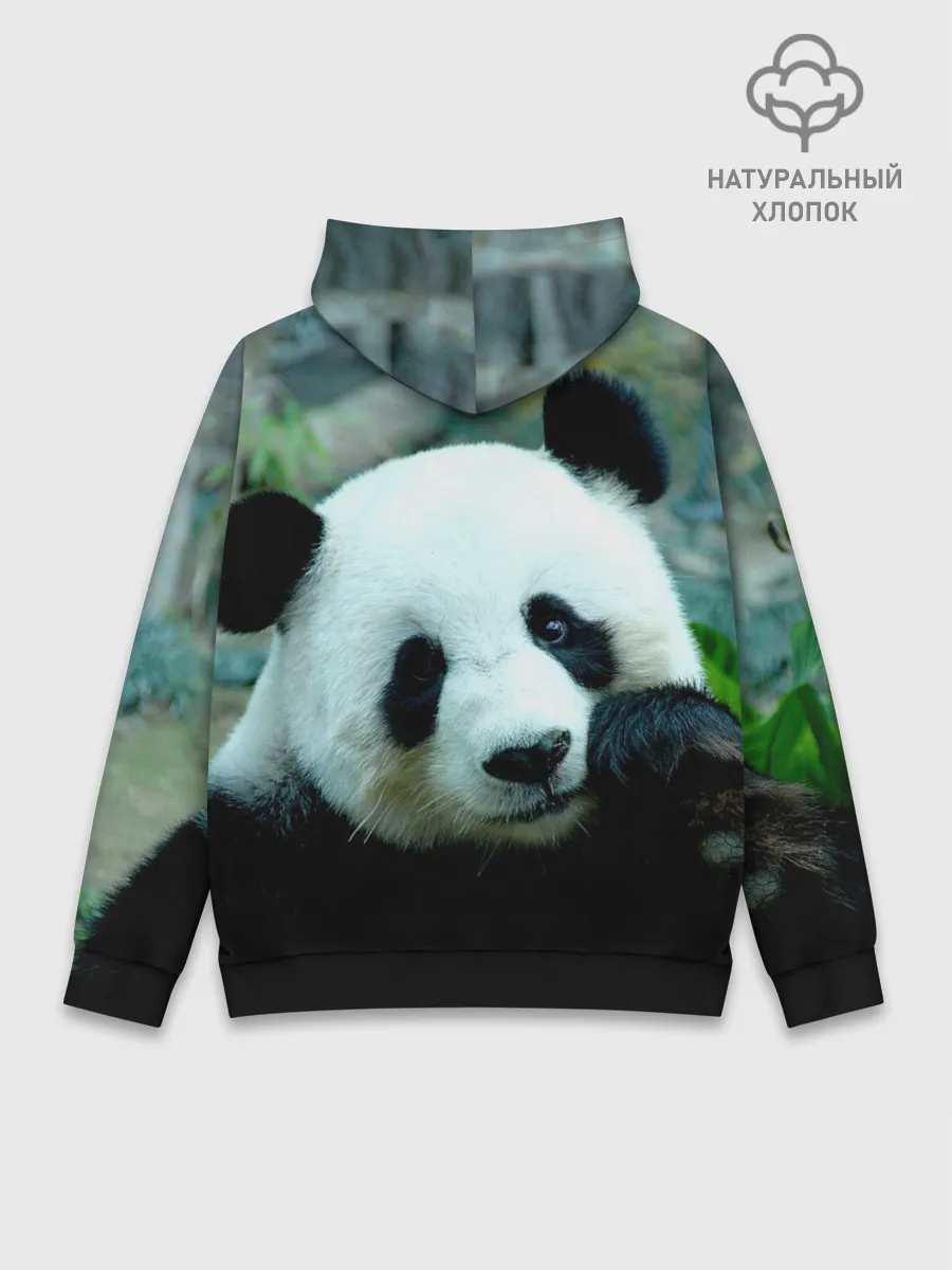 Худи мужской база хлопок / Панда