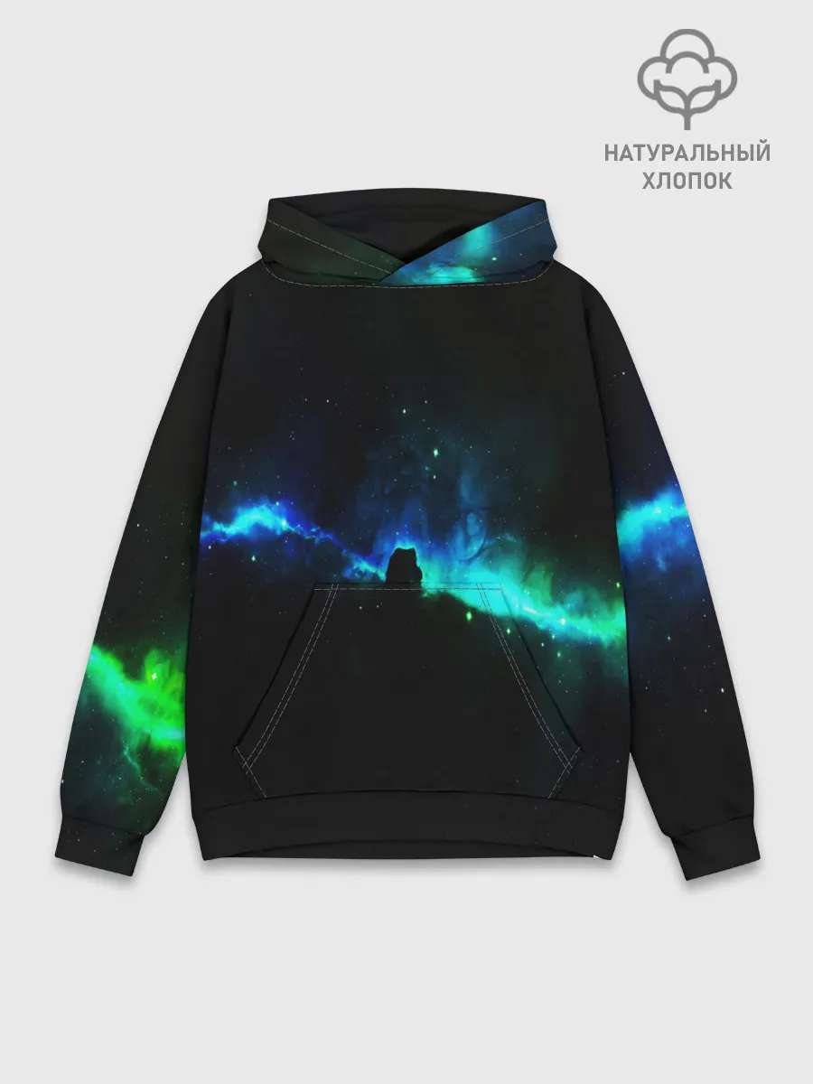 Худи мужской база хлопок / DEEP SPACE