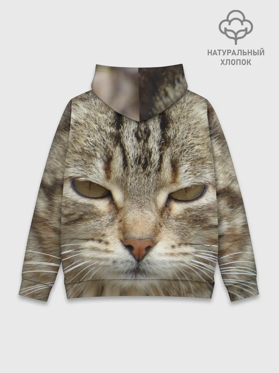 Худи мужской база хлопок / Кот