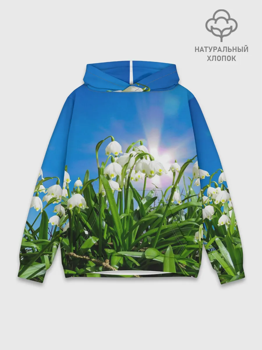 Худи мужской база хлопок / Подснежники