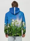 Худи мужской база хлопок / Подснежники