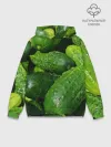 Худи мужской база хлопок / Огурцы