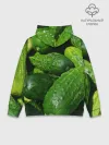 Худи мужской база хлопок / Огурцы