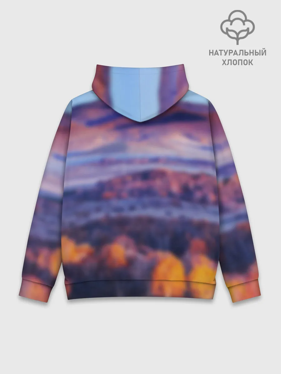 Худи мужской база хлопок / Рафталия