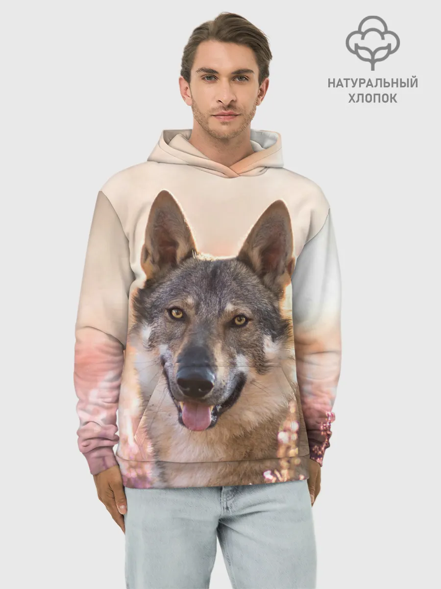 Худи мужской база хлопок / Красивый Волк