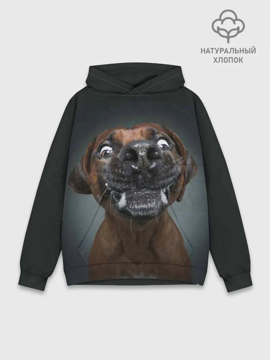 Худи мужской база хлопок / Это всё мне?!