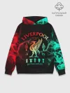Худи мужской база хлопок / LIVERPOOL FC