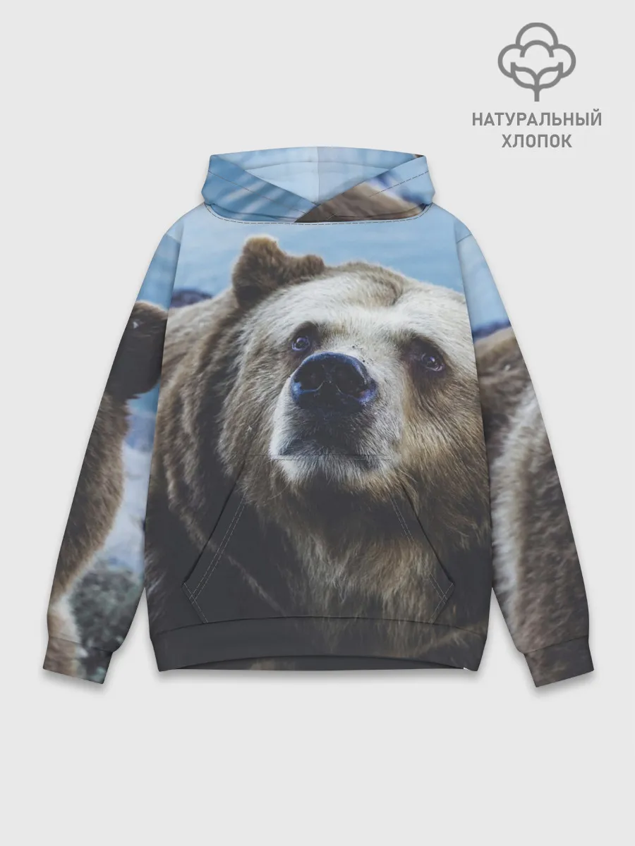 Худи мужской база хлопок / Гризли