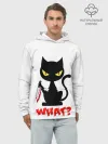 Худи мужской база хлопок / What Cat