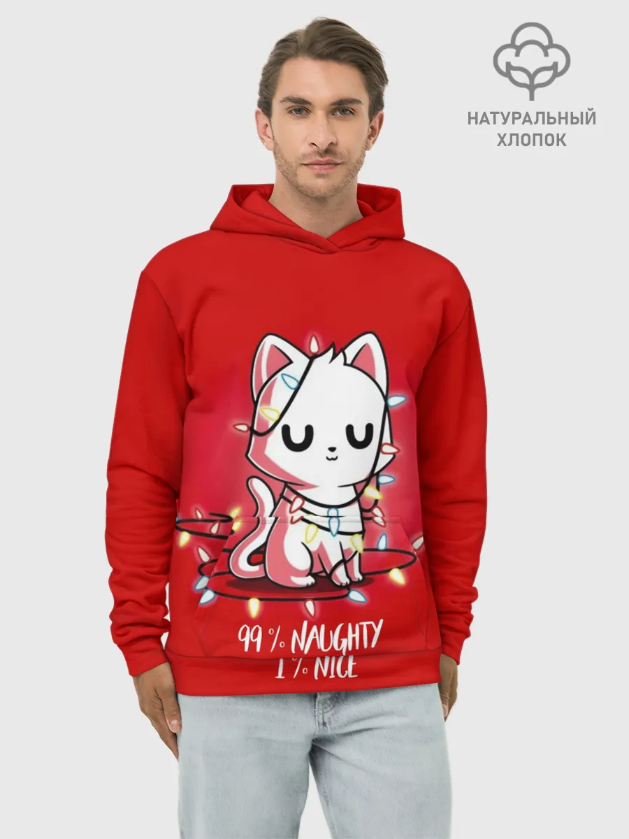 Худи мужской база хлопок / 99% naughty