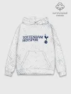 Худи мужской база хлопок / TOTTENHAM HOTSPUR / Тоттенхэм