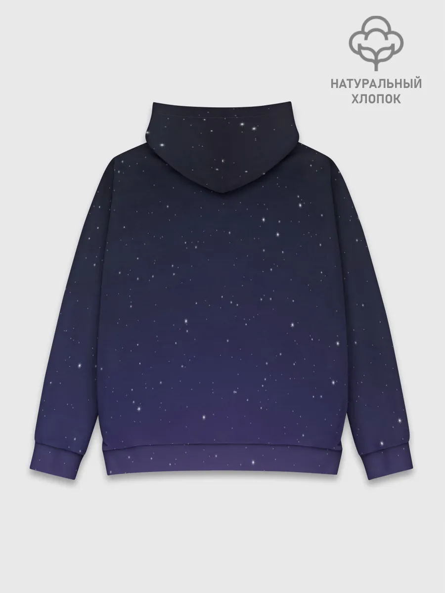 Худи мужской база хлопок / Cat impostor