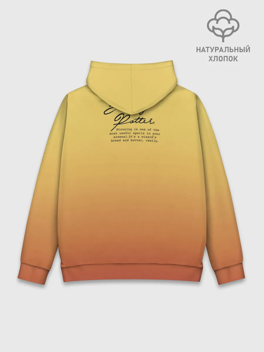 Худи мужской база хлопок / Гарри Поттер