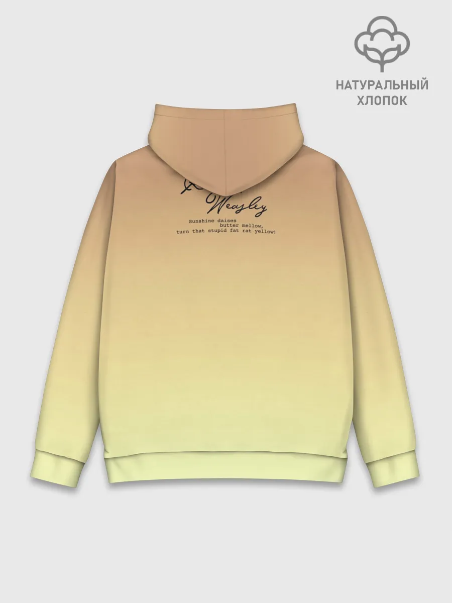 Худи мужской база хлопок / Рон