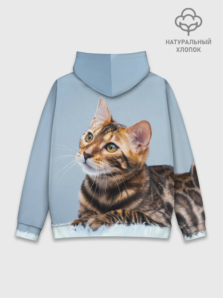 Худи мужской база хлопок / Бенгальский кот