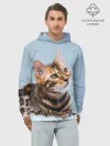Худи мужской база хлопок / Бенгальский кот