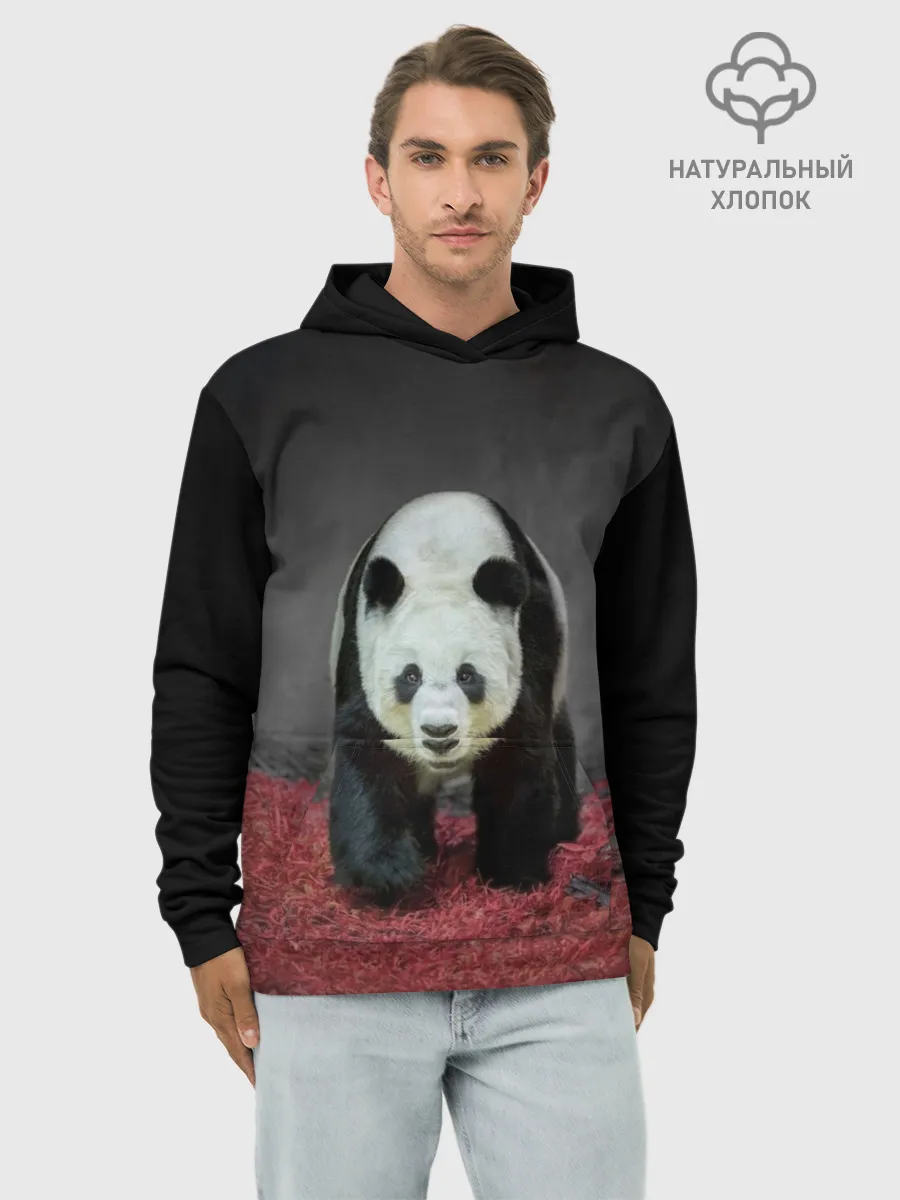 Худи мужской база хлопок / ПАНДА