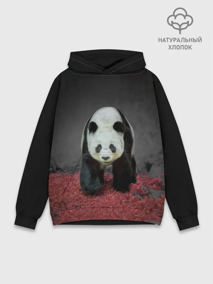 Худи мужской база хлопок / ПАНДА