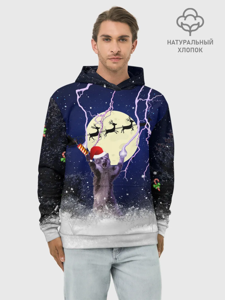 Худи мужской база хлопок / Новогодний Кот