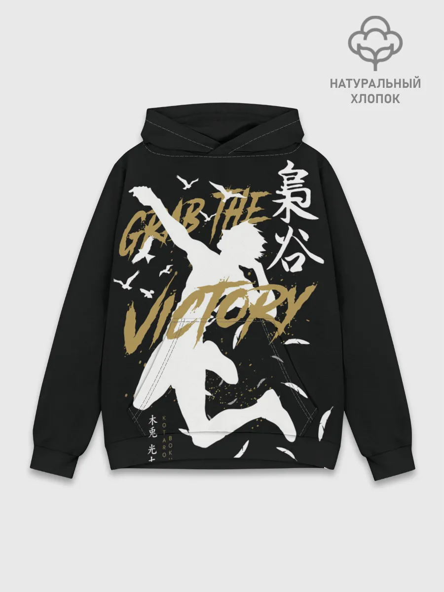 Худи мужской база хлопок / Haikyu Grab The Victory
