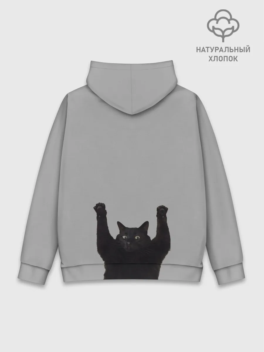 Худи мужской база хлопок / Кот сдается