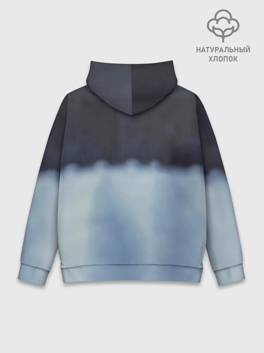 Худи мужской база хлопок / САМОЕД