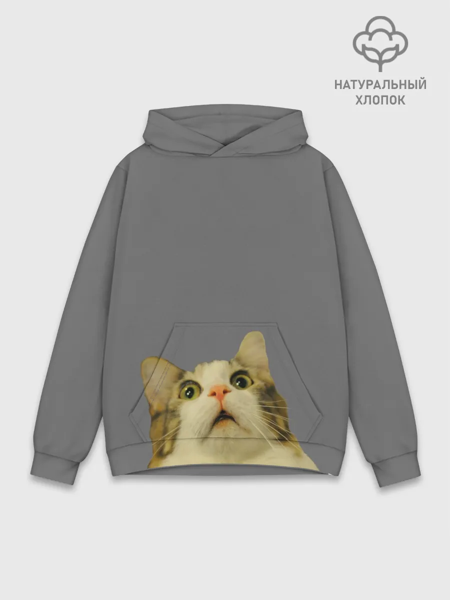 Худи мужской база хлопок / Коте смотрит вверх